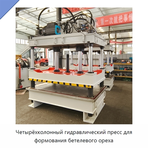Четырёхколонный гидравлический пресс для формования бетелевого ореха