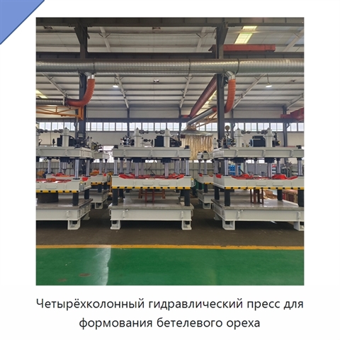 Четырёхколонный гидравлический пресс для формования бетелевого ореха