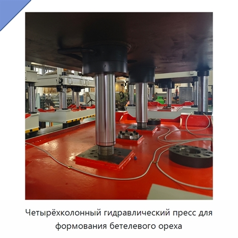 Четырёхколонный гидравлический пресс для формования бетелевого ореха