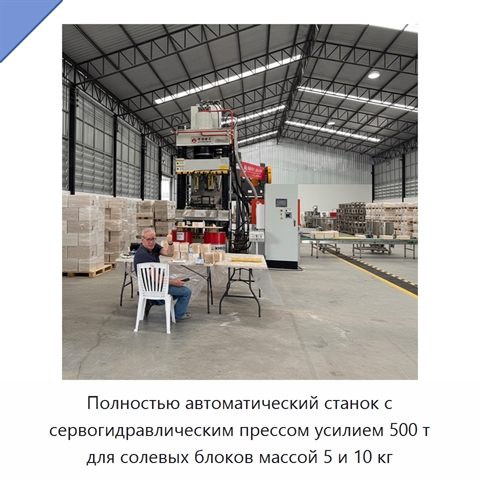 Полностью автоматический станок с сервогидравлическим прессом усилием 500 т для солевых блоков массой 5 и 10 кг