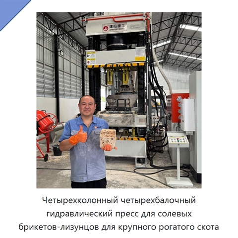 Четырехколонный четырехбалочный гидравлический пресс для солевых брикетов-лизунцов для крупного рогатого скота