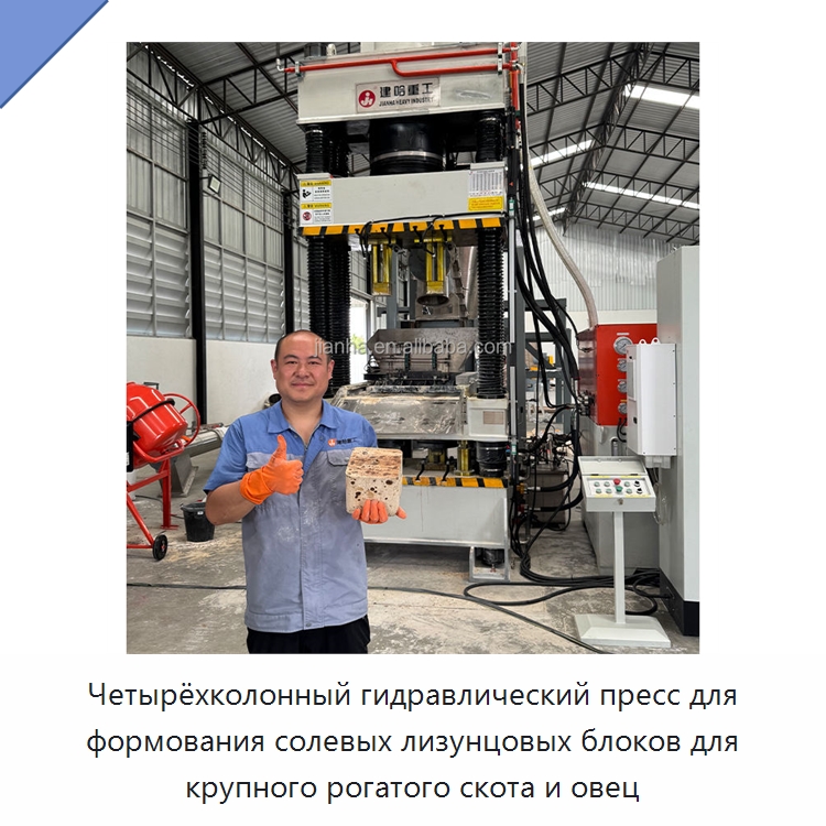 Четырёхколонный гидравлический пресс для формования солевых лизунцовых блоков для крупного рогатого скота и овец — Гидравлические прессы