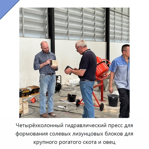 Четырёхколонный гидравлический пресс для формования солевых лизунцовых блоков для крупного рогатого скота и овец