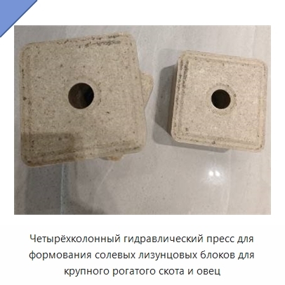 Четырёхколонный гидравлический пресс для формования солевых лизунцовых блоков для крупного рогатого скота и овец