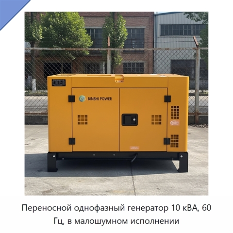 Переносной однофазный генератор 10 кВА, 60 Гц, в малошумном исполнении
