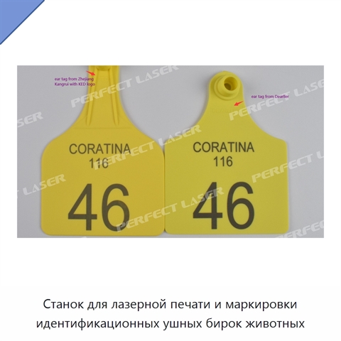 Станок для лазерной печати и маркировки идентификационных ушных бирок животных