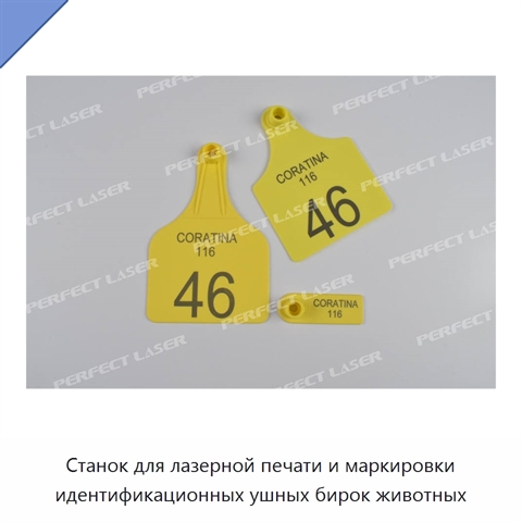 Станок для лазерной печати и маркировки идентификационных ушных бирок животных