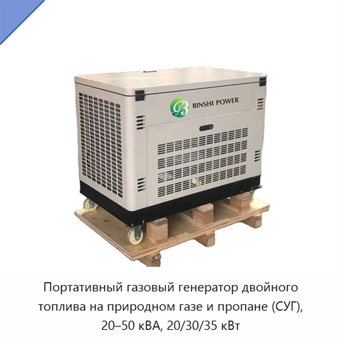 Портативный газовый генератор двойного топлива на природном газе и пропане (СУГ), 20–50 кВА, 20/30/35 кВт