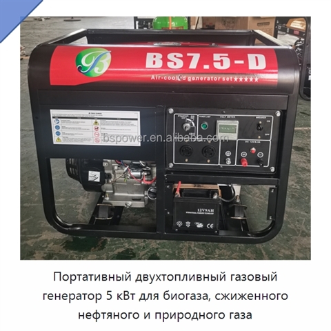 Портативный двухтопливный газовый генератор 5 кВт для биогаза, сжиженного нефтяного и природного газа