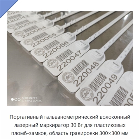 Портативный гальванометрический волоконный лазерный маркиратор 30 Вт для пластиковых пломб-замков, область гравировки 300×300 мм