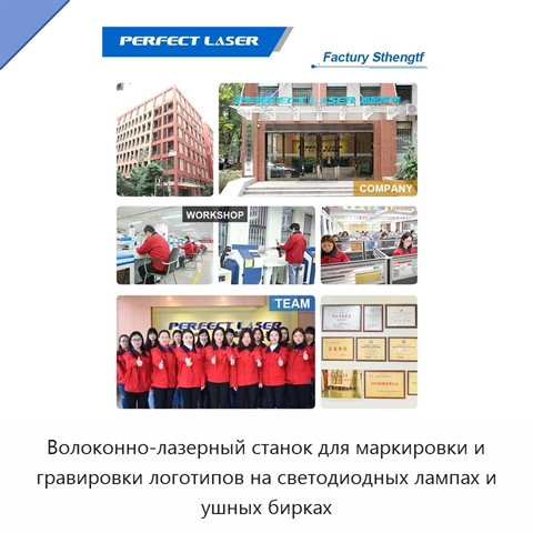 Волоконно-лазерный станок для маркировки и гравировки логотипов на светодиодных лампах и ушных бирках