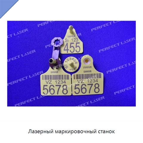 Лазерный маркировочный станок
