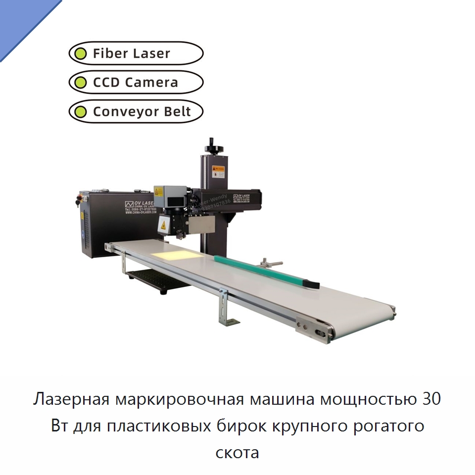 Лазерная маркировочная машина мощностью 30 Вт для пластиковых бирок крупного рогатого скота — Лазерные маркировочные станки