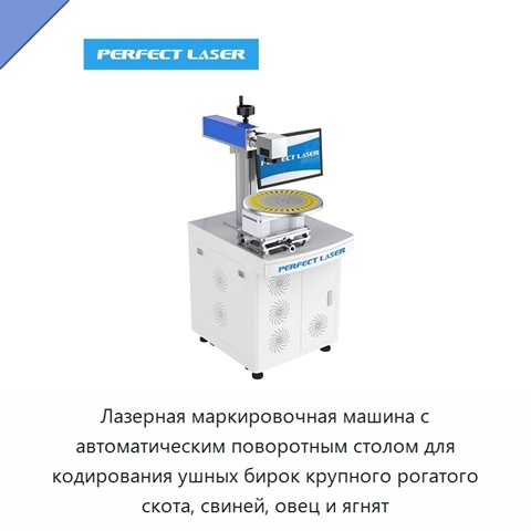 Лазерная маркировочная машина с автоматическим поворотным столом для кодирования ушных бирок крупного рогатого скота, свиней, овец и ягнят
