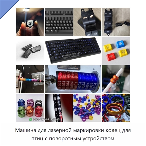 Машина для лазерной маркировки колец для птиц с поворотным устройством