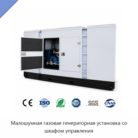 Малошумная газовая генераторная установка со шкафом управления
