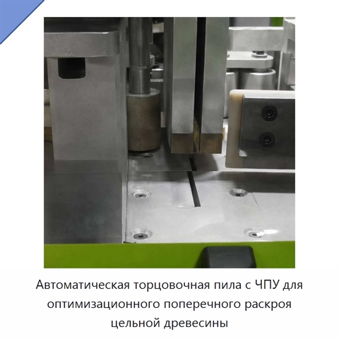Автоматическая торцовочная пила с ЧПУ для оптимизационного поперечного раскроя цельной древесины