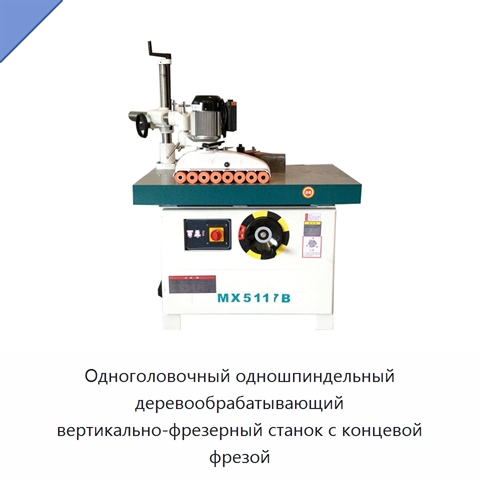 Одноголовочный одношпиндельный деревообрабатывающий вертикально-фрезерный станок с концевой фрезой
