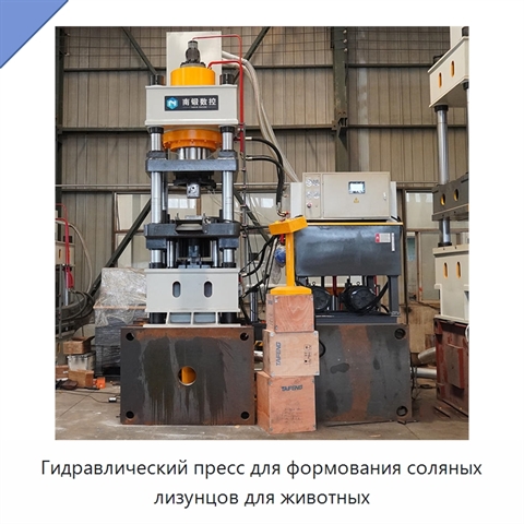 Гидравлический пресс для формования соляных лизунцов для животных