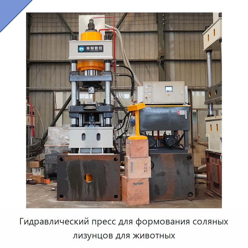 Гидравлический пресс для формования соляных лизунцов для животных — Гидравлические прессы