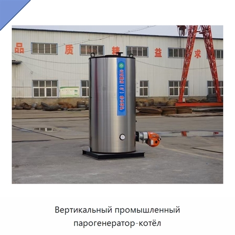 Вертикальный промышленный парогенератор-котёл