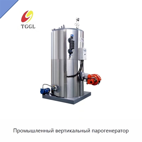 Промышленный вертикальный парогенератор