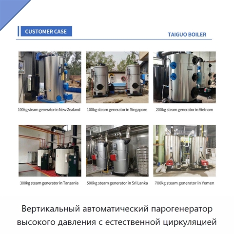 Вертикальный автоматический парогенератор высокого давления с естественной циркуляцией