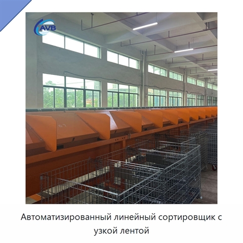 Автоматизированный линейный сортировщик с узкой лентой