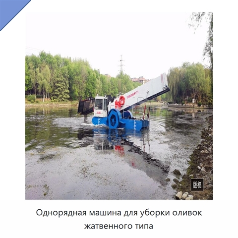 Однорядная машина для уборки оливок жатвенного типа