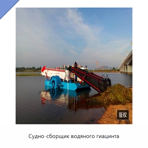 Судно-сборщик водяного гиацинта