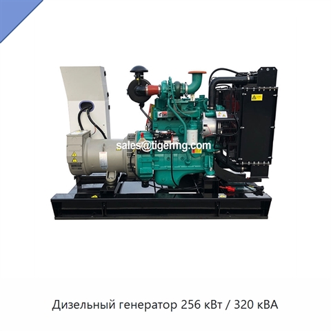 Дизельный генератор 256 кВт / 320 кВА