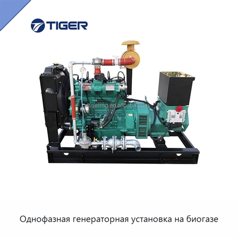 Однофазная генераторная установка на биогазе