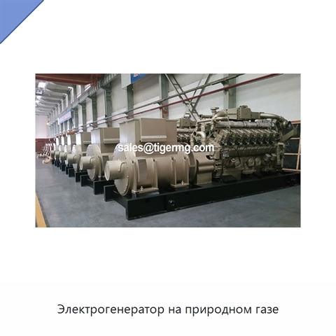 Электрогенератор на природном газе