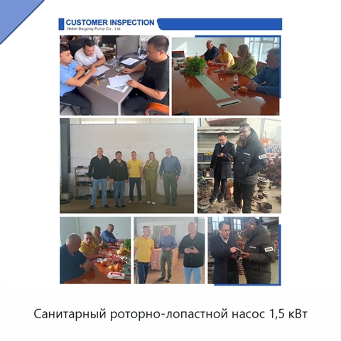 Санитарный роторно-лопастной насос 1,5 кВт