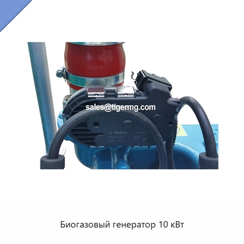 Биогазовый генератор 10 кВт