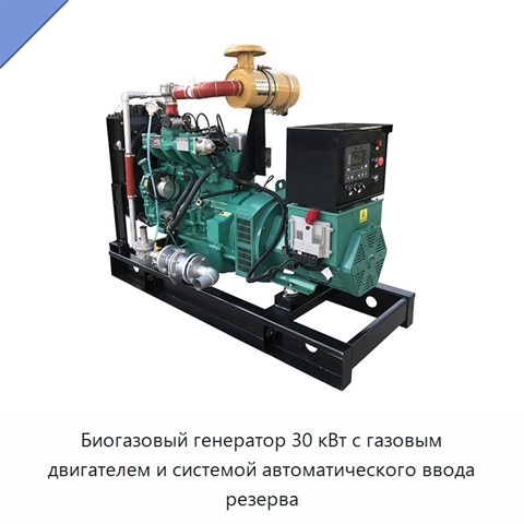 Биогазовый генератор 30 кВт с газовым двигателем и системой автоматического ввода резерва