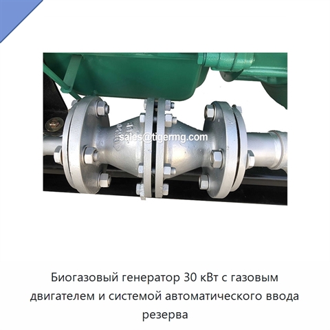Биогазовый генератор 30 кВт с газовым двигателем и системой автоматического ввода резерва