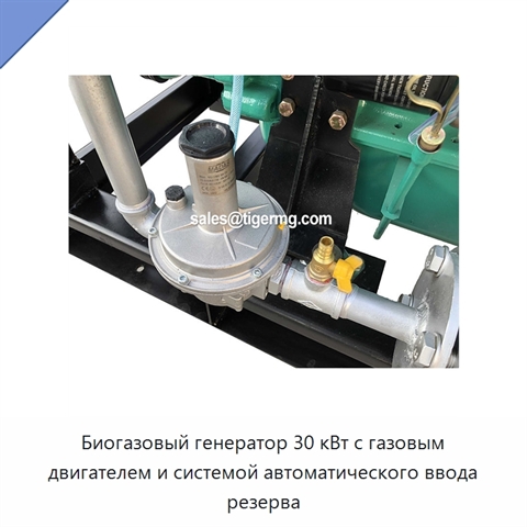 Биогазовый генератор 30 кВт с газовым двигателем и системой автоматического ввода резерва