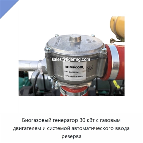 Биогазовый генератор 30 кВт с газовым двигателем и системой автоматического ввода резерва