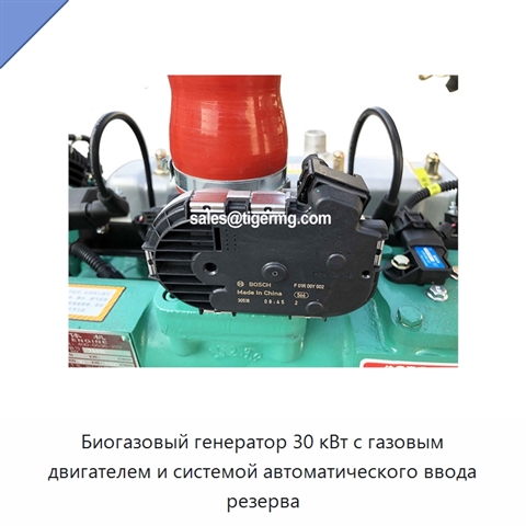 Биогазовый генератор 30 кВт с газовым двигателем и системой автоматического ввода резерва