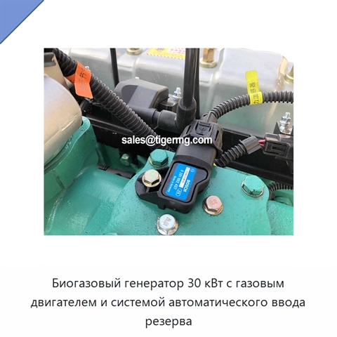 Биогазовый генератор 30 кВт с газовым двигателем и системой автоматического ввода резерва