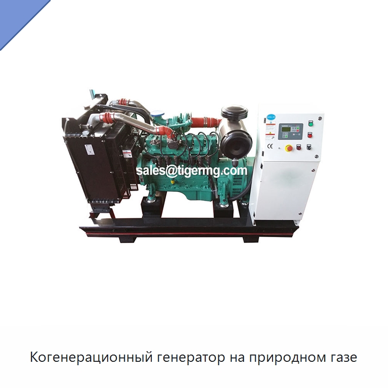 Когенерационный генератор на природном газе — Генерация электроэнергии