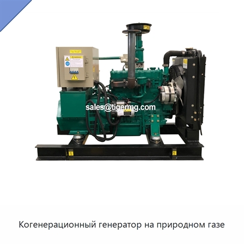 Когенерационный генератор на природном газе