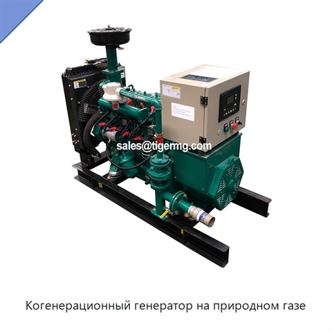 Когенерационный генератор на природном газе