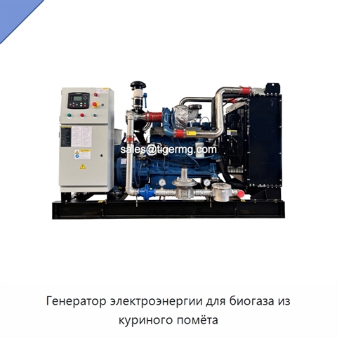 Генератор электроэнергии для биогаза из куриного помёта