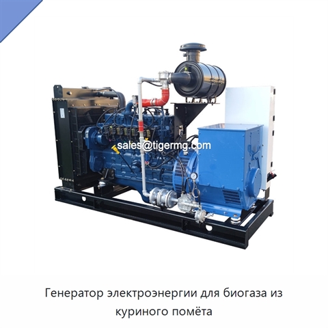 Генератор электроэнергии для биогаза из куриного помёта