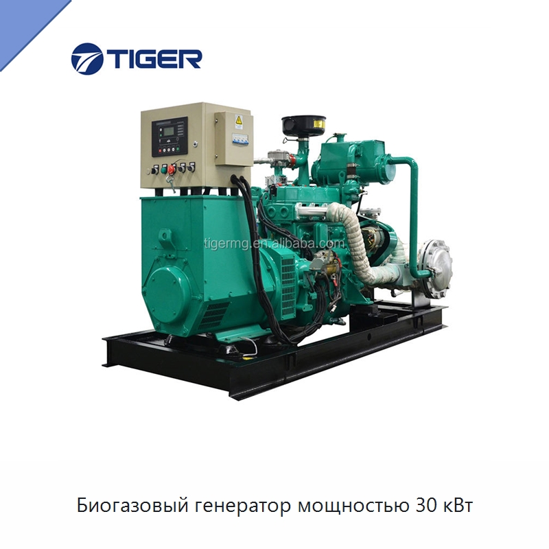 Биогазовый генератор мощностью 30 кВт — Газотурбинные генераторы