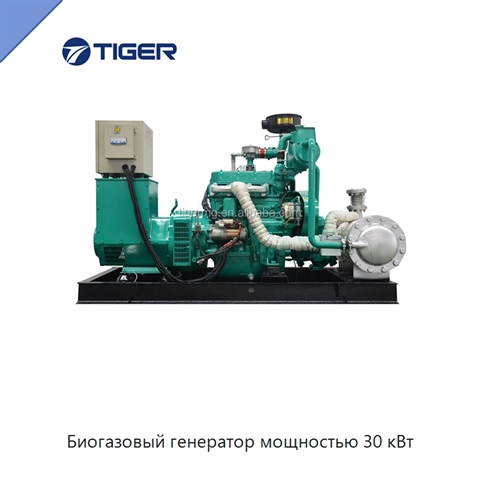 Биогазовый генератор мощностью 30 кВт