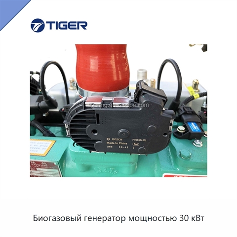 Биогазовый генератор мощностью 30 кВт