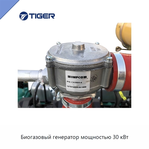 Биогазовый генератор мощностью 30 кВт
